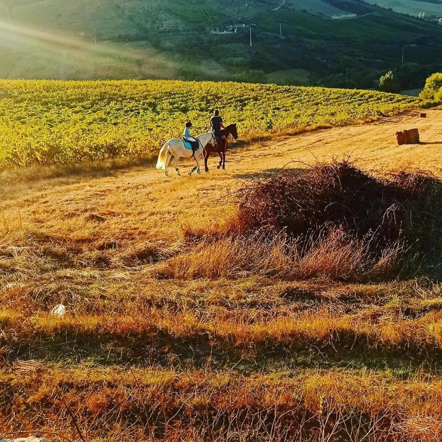 Casinha De Campo- Quintinha Dos Cavalos- อาร์รูดาโดสวินญอส ภายนอก รูปภาพ